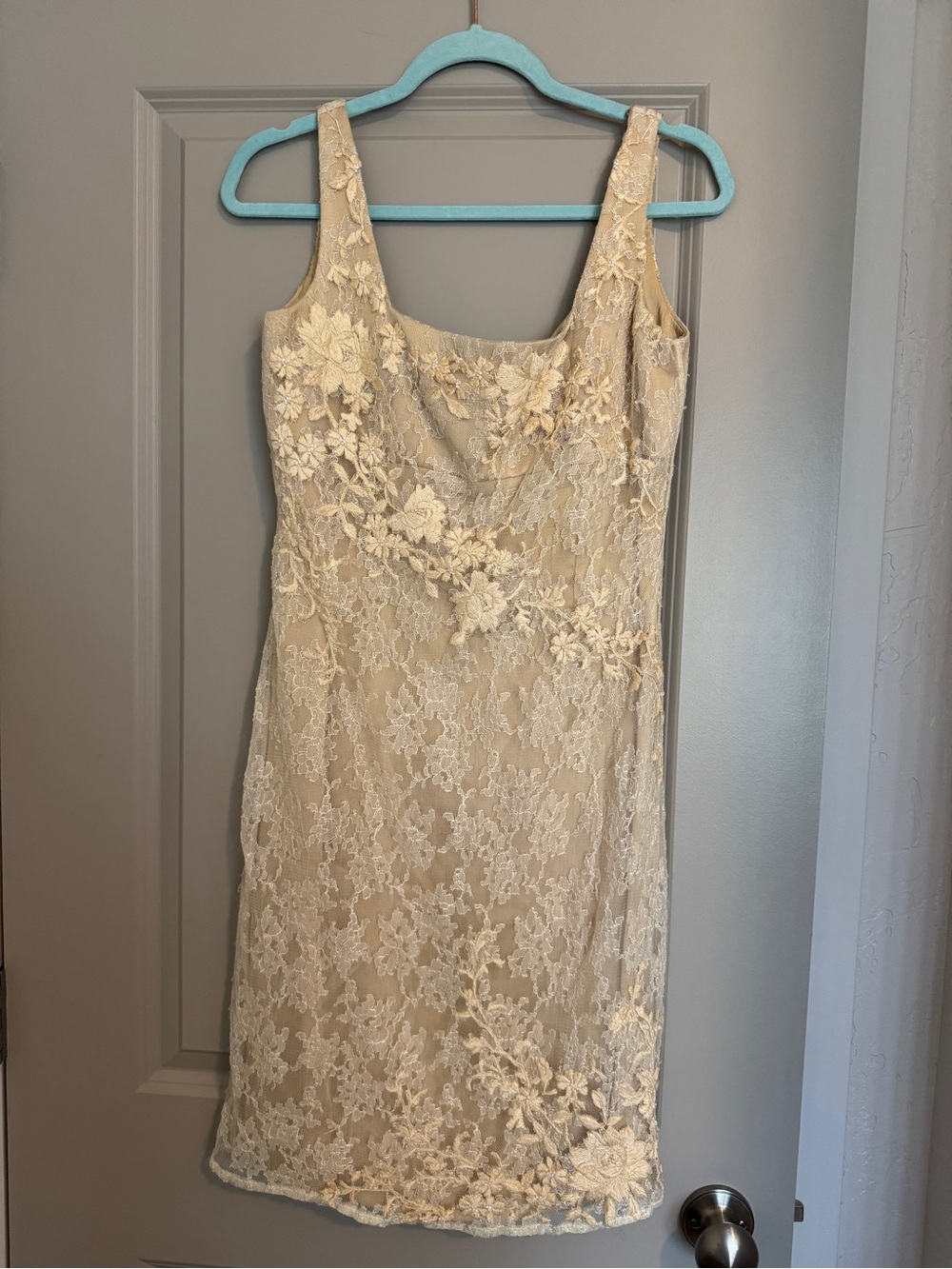 Elegant Cream Lace Sheath Dress